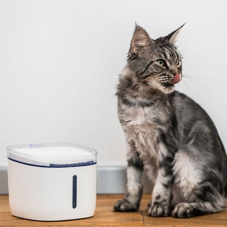 Поилка для животных Petoneer Smart Pet Water Dispenser White (FSW030-M) - фотография № 20