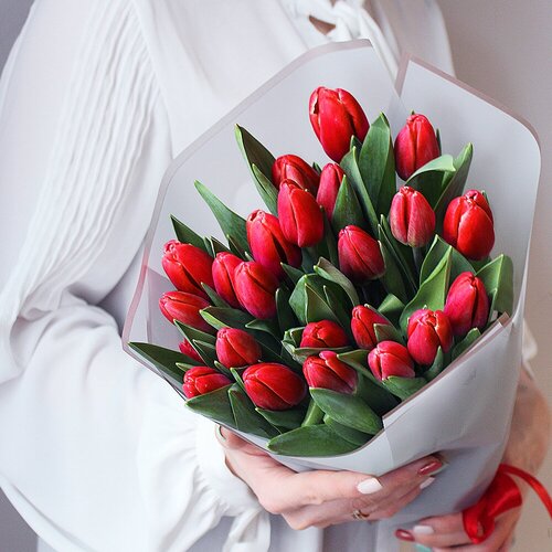 Букет красных тюльпанов 25 шт Sharonline