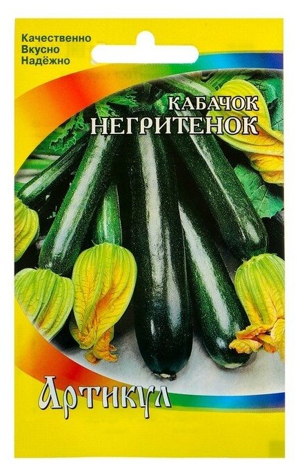 Семена Кабачок