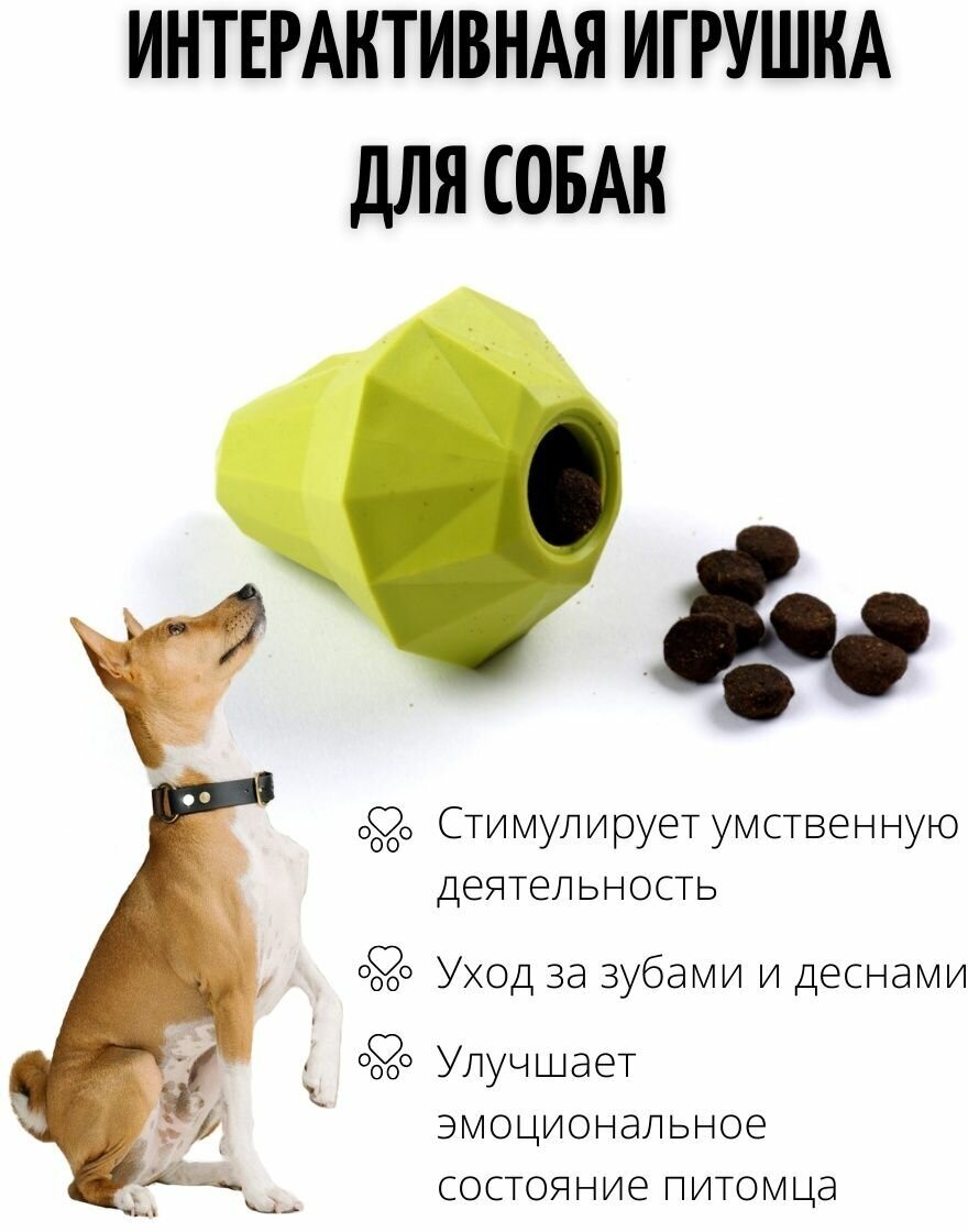 Игрушка для собак интерактивная пищевая - фотография № 2