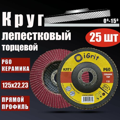 Лепестковый торцевой круг iGrit Ceramic Тор; КЛТ1 125х22,23мм; Р60; 25 шт.