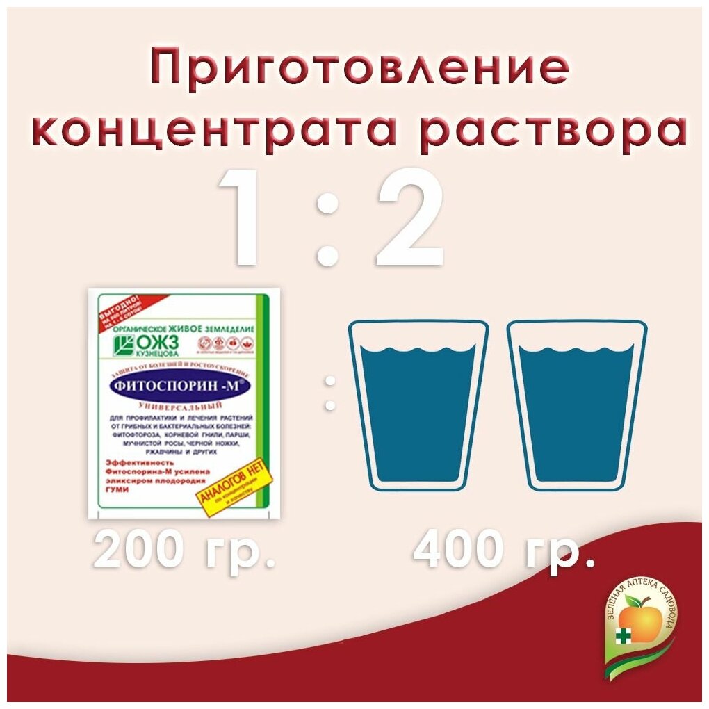 Фитоспорин-М паста 200гр., супер-универсал. Профилактика, лечение, защита грибных и бактериальных болезней растений - фотография № 3