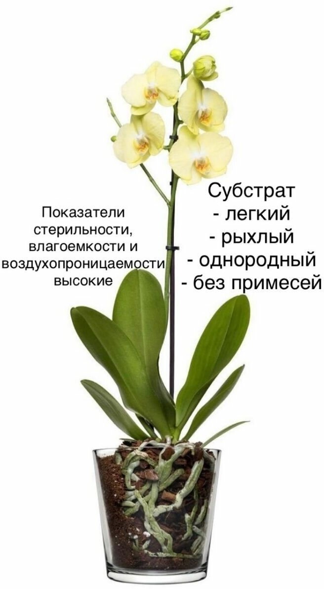 Грунт для орхидей Премиум 5 литров - фотография № 3