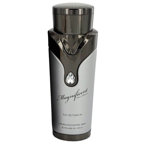 Armaf парфюмерная вода Magnificent pour Homme, 100 мл
