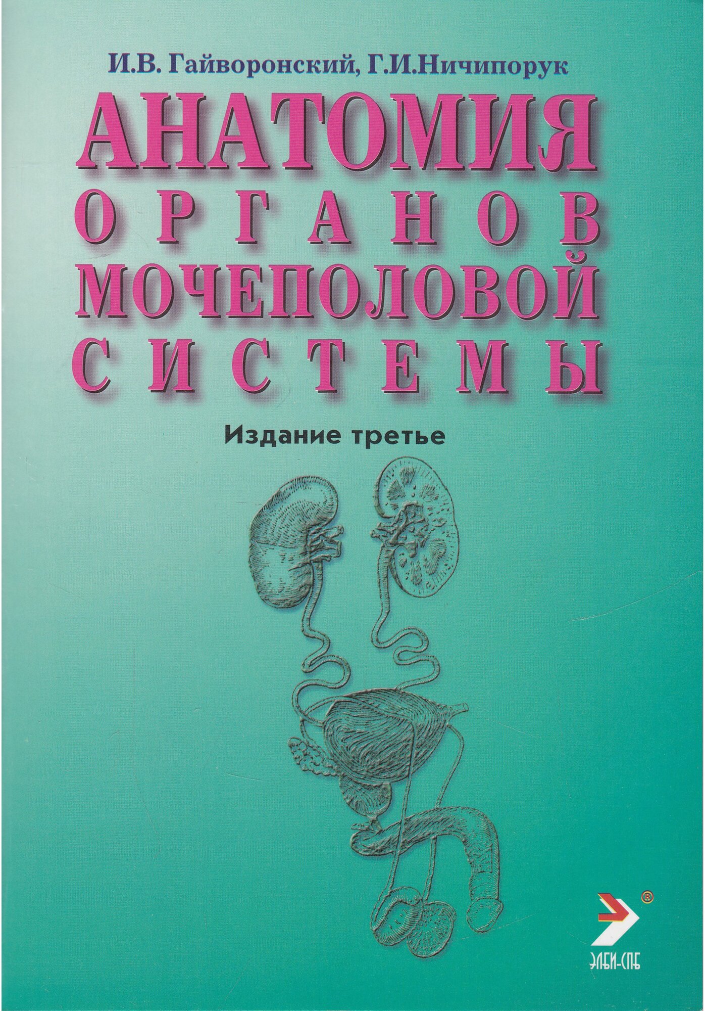 Гайворонский И. В. "Анатомия органов мочеполовой системы. Учебное пособие"