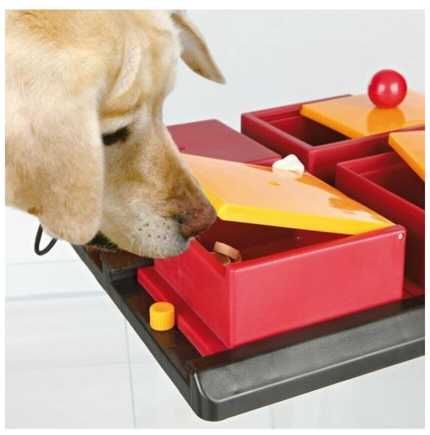 Игрушка для собак Trixie Poker Box, размер 31х10х31см., белый/синий - фотография № 9