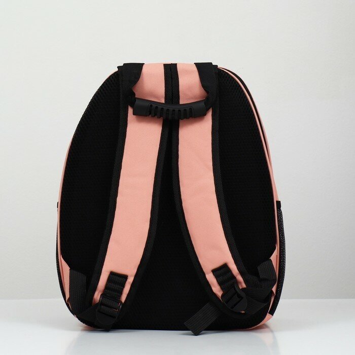 Рюкзак для переноски животных с окном для обзора ТероПром 9208853, розовый - фотография № 3