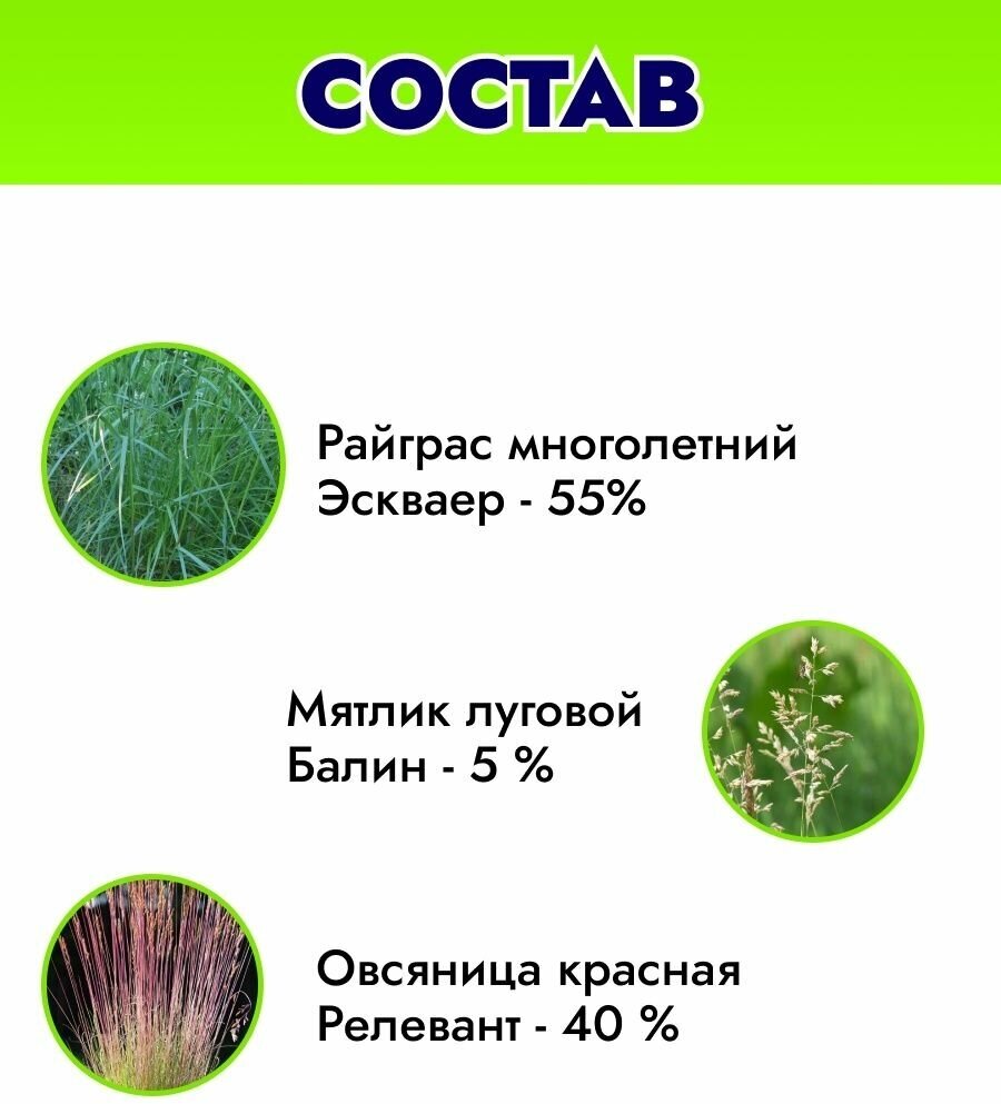 Газонная травосмесь плейграунд Для Ландшафтных Фантазий (ДЛФ) 75 кг