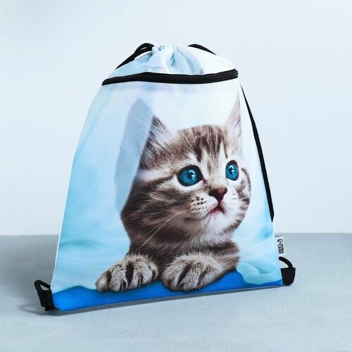 Сумка для обуви Милый котик 2 секции 41х31 см 757₽