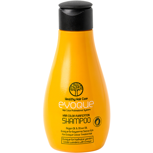 Шампунь очищающий, защита цвета для волос / Hair Color Purification Shampoo 100 мл