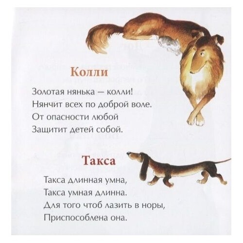День рождения собаки (Римма Петровна Алдонина) - фото №3