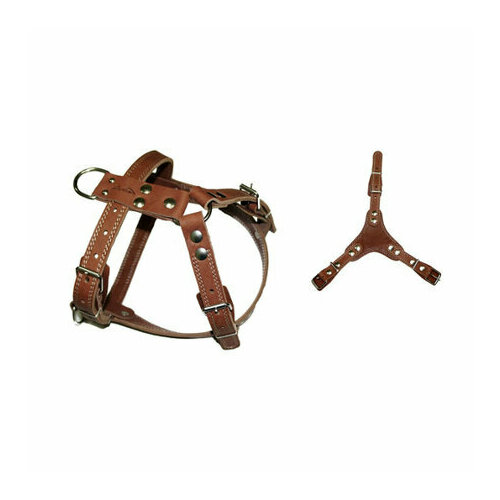 Аркон Шлейка универсальная, ширина 2,5 см, обхват 90-109 см, цвет коньячный