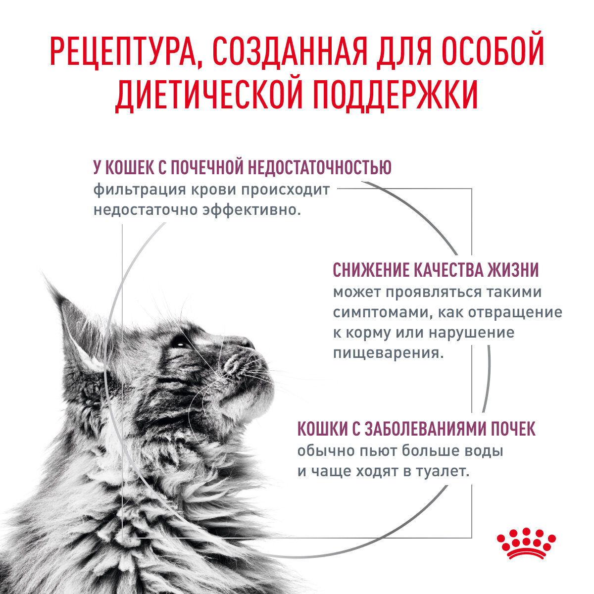 Корм для кошек ROYAL CANIN - фото №3