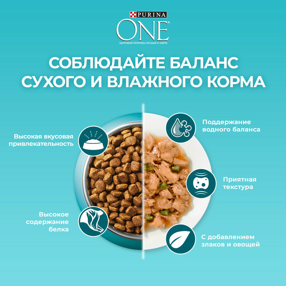 Сухой корм Purina ONE полнорационный для стерилизованных кошек и кастрированных котов, с высоким содержанием говядины, 6 кг(2 шт*3кг) - фотография № 11