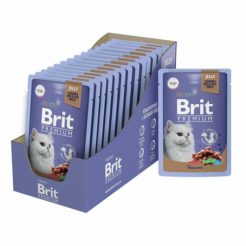 Корм для взрослых кошек BRIT Premium Ассорти из птицы в желе 14шт.*85г