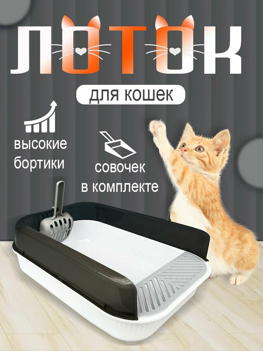 Лоток для кошек