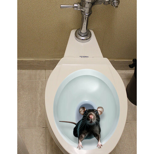 Наклейка на крышку унитаза прикол для декора интерьера туалета дома, на даче, в бане крыса в унитазе