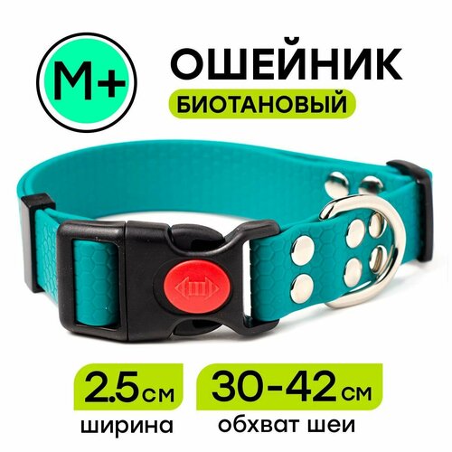 Ошейник из биотана 30-42 см (M+), 25 мм, Woofy "Geksa" водостойкий, для собак с длинной шеей, бирюзовый