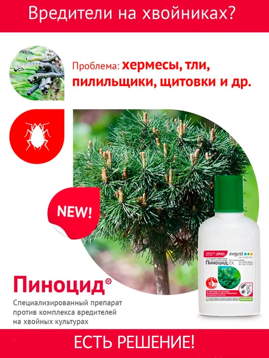 Незаменимый препарат от комплекса вредителей на хвойных растениях Пиноцид Avgust,10 мл — фото 1