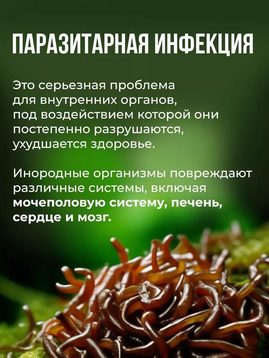 Антипаразитарный комплекс от глистов, очищение организма от паразитов, детокс, Алтея, Чудо гриб, чудогриб, 20 капсул — фото 1