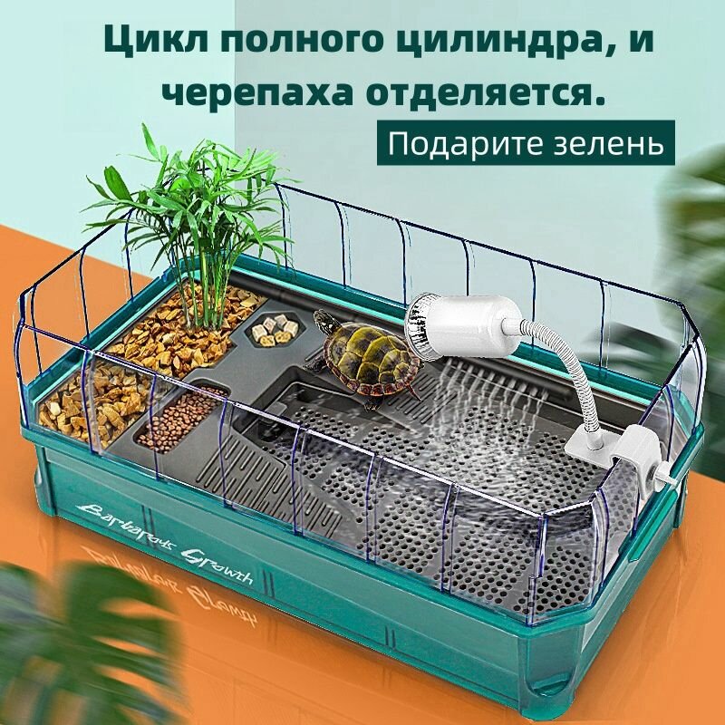Аквариум — фото 1