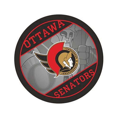 Шайба RUBENA Ottawa Senators NHL