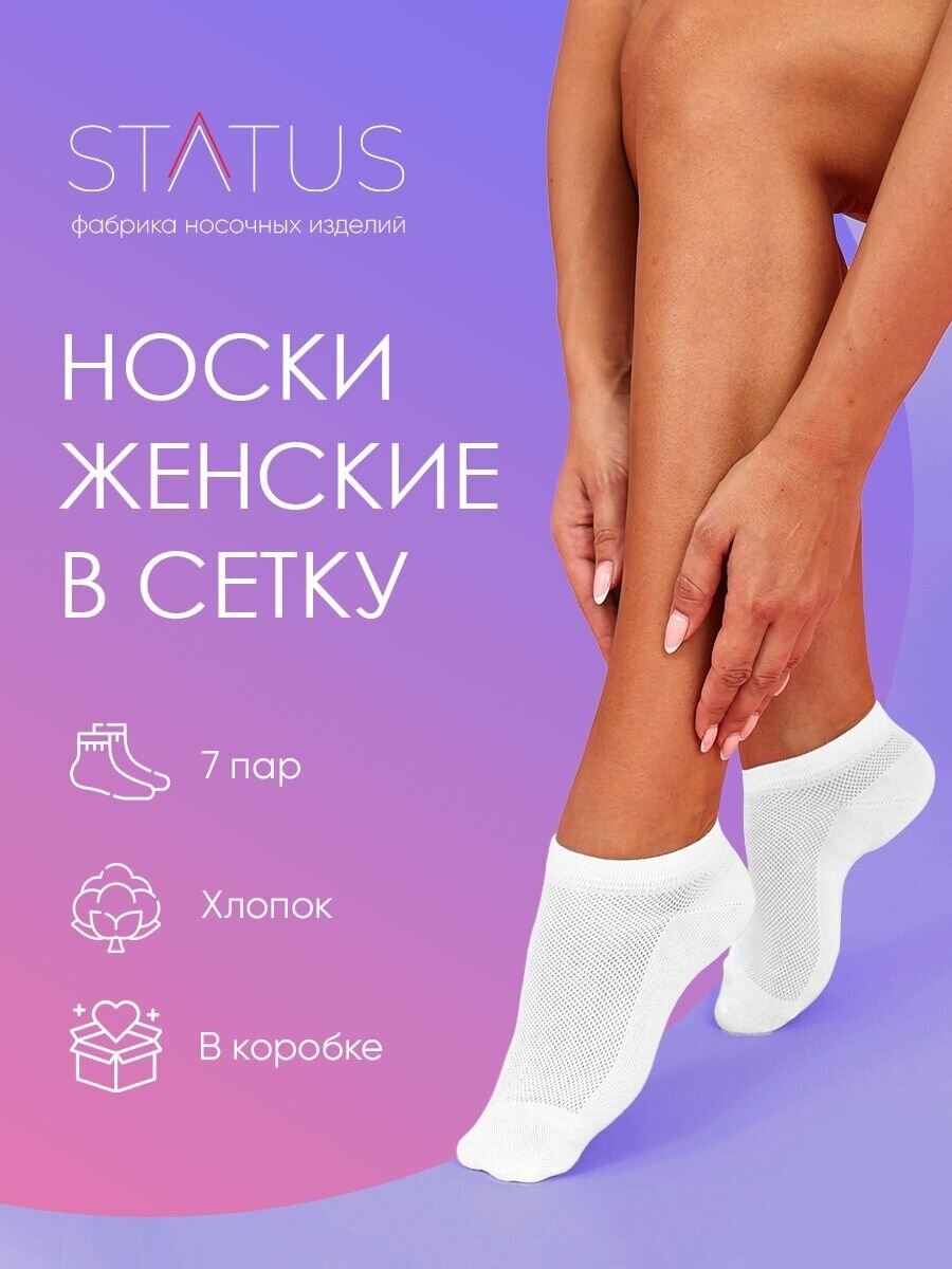 Носки STATUS