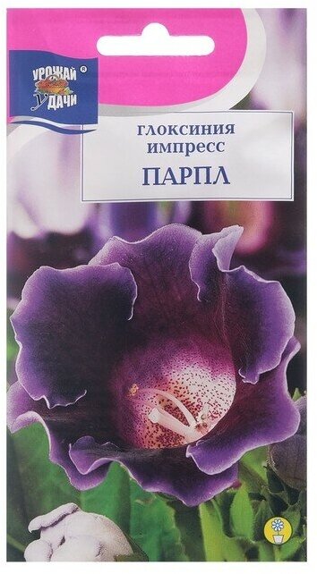 Урожай удачи Семена цветов Глоксиния "Импресс Парпл", 3 шт. в амп.
