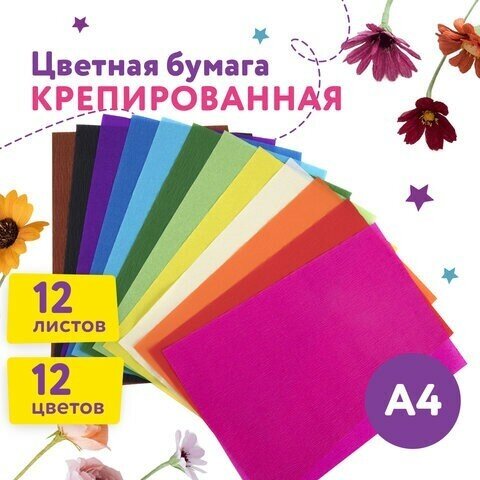 Набор крепированной бумаги, А4, 12 листов, 12 цветов, в папке с европодвесом, юнландия, 112558