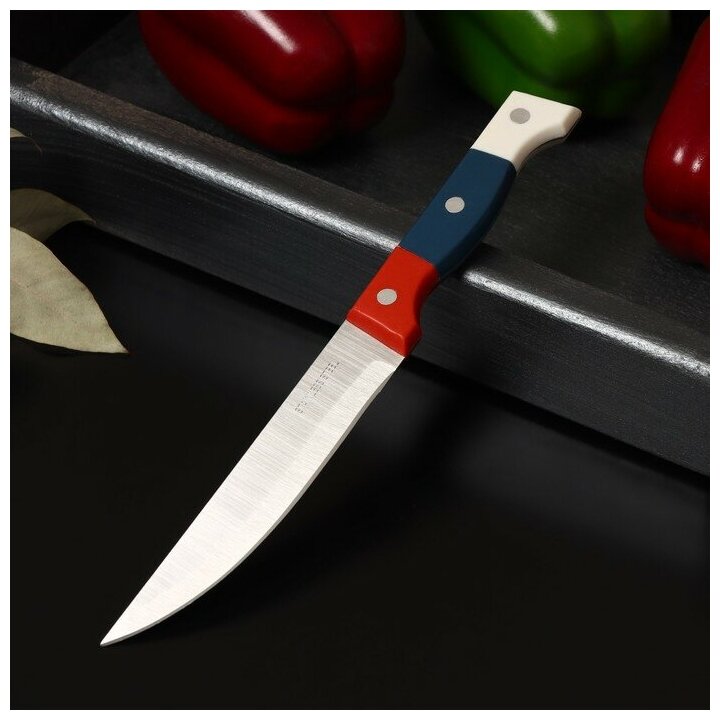 Нож кухонный «Триколор», лезвие 12,5 см - фотография № 3