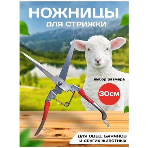 Ножницы для стрижки овец и других домашних животных