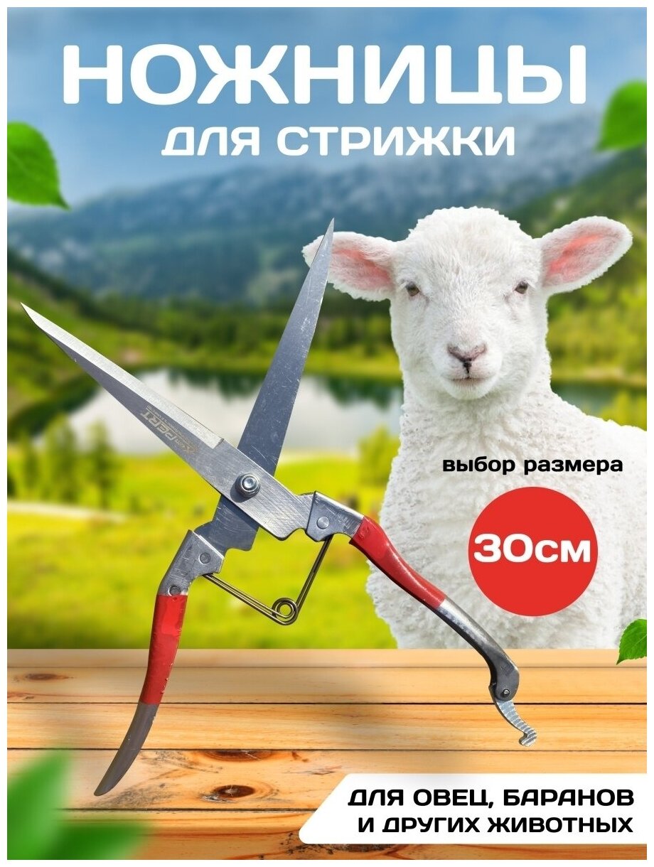 Ножницы для стрижки овец и других домашних животных - фотография № 1