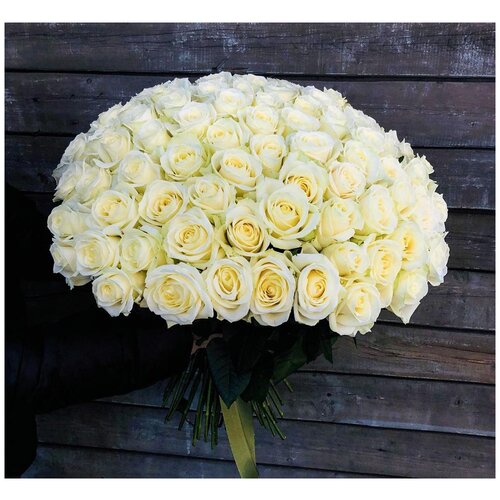 Розы Премиум 101 шт белые 50 см арт.11079 - Просто роза ру