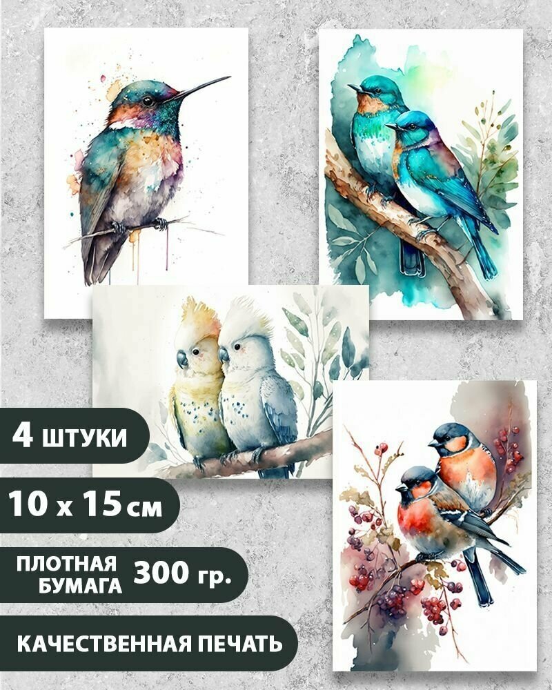 Набор открыток "Птицы 7", 10.5 см х 15 см, 4 шт, InspirationTime, на подарок и в коллекцию