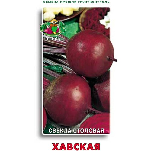 Свекла Хавская 3гр. (Поиск)