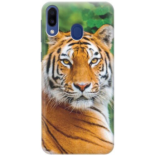 RE: PAЧехол - накладка ArtColor для Samsung Galaxy M20 с принтом Портрет тигра чехол накладка artcolor для samsung galaxy a80 с принтом портрет тигра
