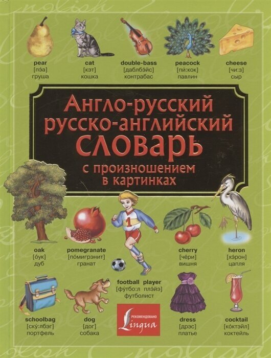 Англо-русский. Русско-английский словарь с произношением в картинках