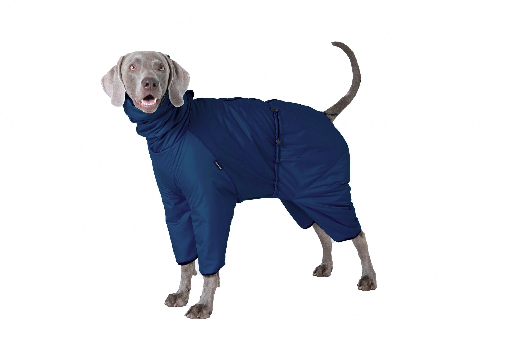 Дождевик комбинезон для собак средних пород, цвет т.синий/черный, М3 - фотография № 4