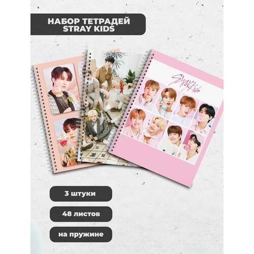 Набор тетрадей (3шт.) 48л. Stray Kids