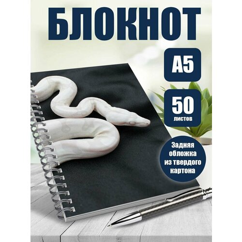 Тетрадь в клетку фотография Природа. Змеи
