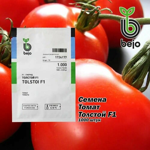Семена Bejo Томат Толстой ранний F1 1000шт