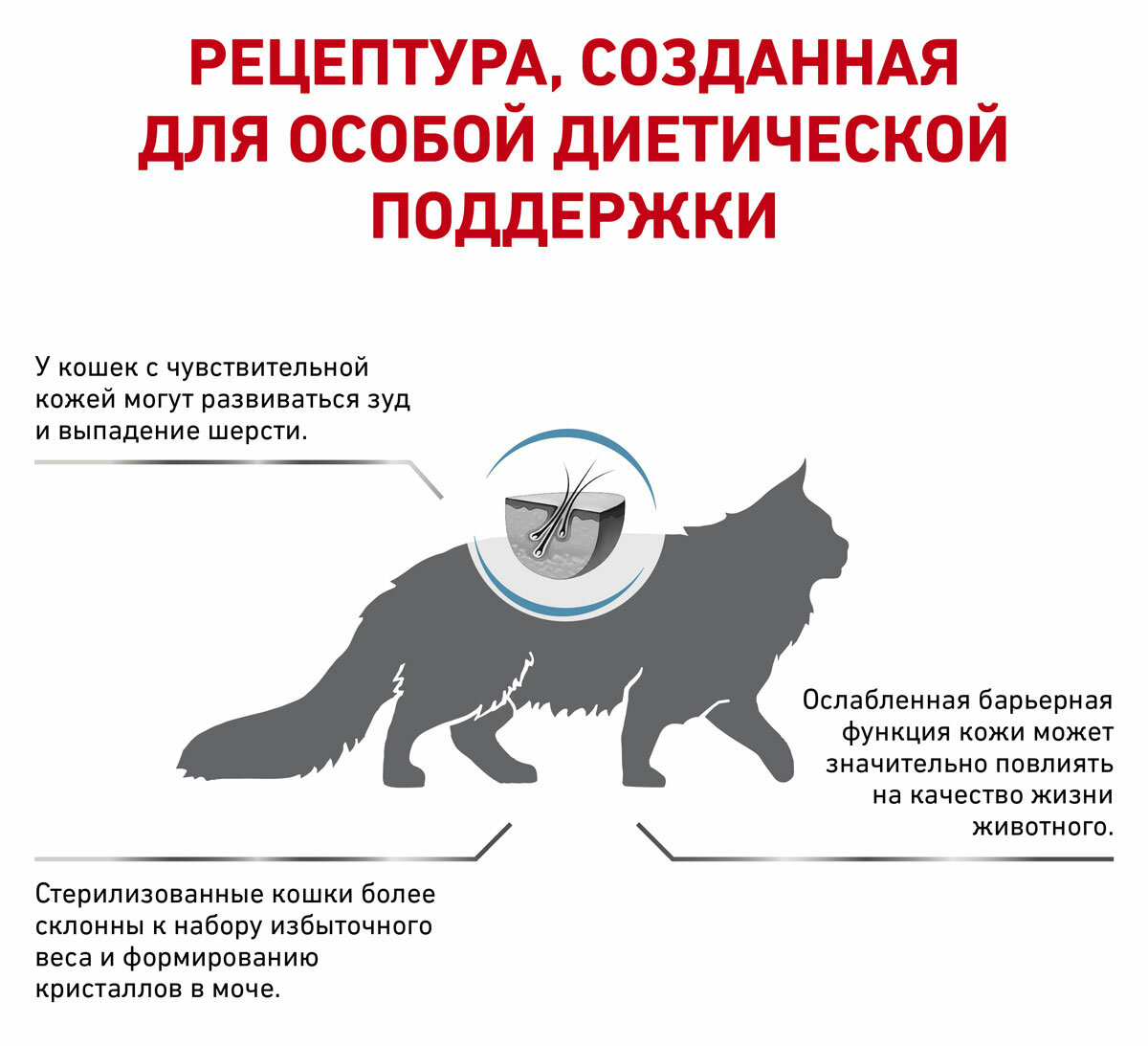 ROYAL CANIN SKIN & COAT для кастрированных котов и стерилизованных кошек с чувствительной кожей и шерстью (0,4 + 0,4 кг) - фотография № 3