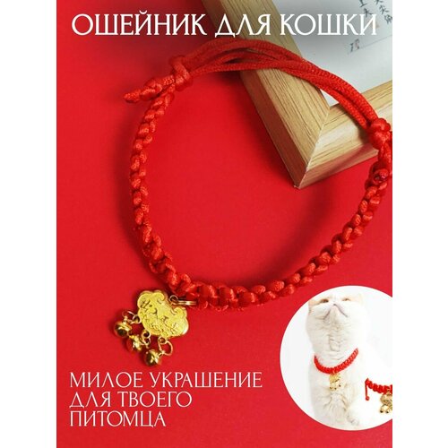 Ошейник декоративное украшение на шею кошкам и собакам в коробочке