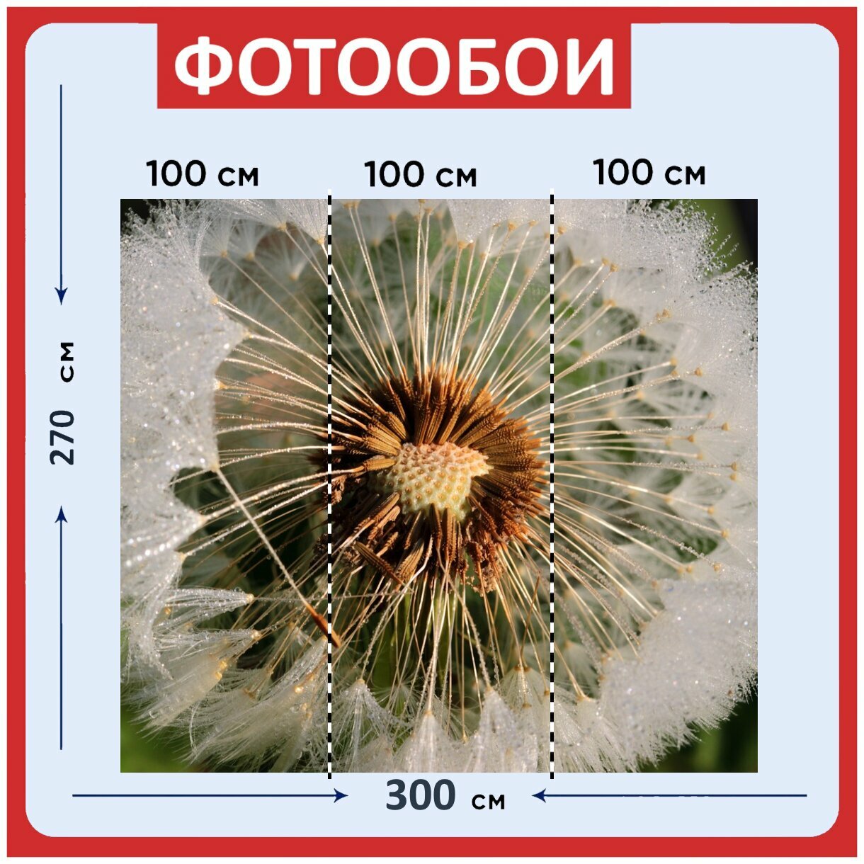 Фотообои "Одуванчик, летающие семена, семена" 300x270 см. флизелиновыена стену