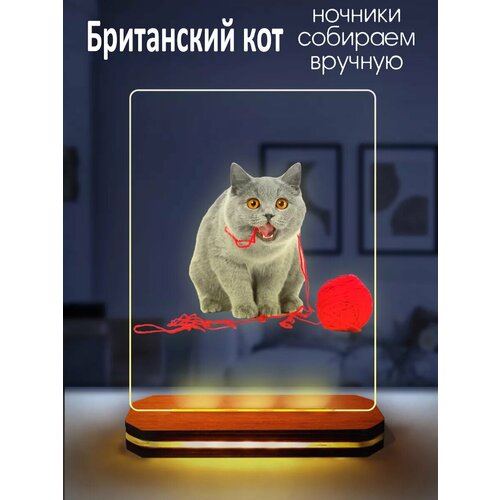 Ночник декоративный Британский кот