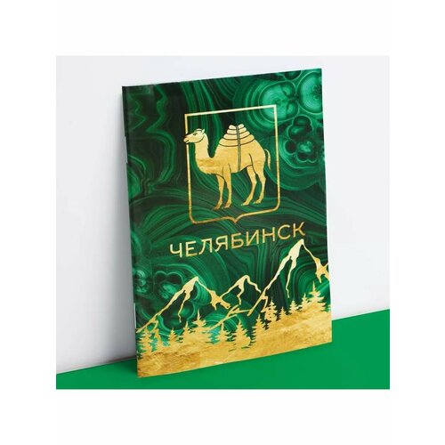Блокнот Челябинск 12 листов 99 х 14 см 449₽