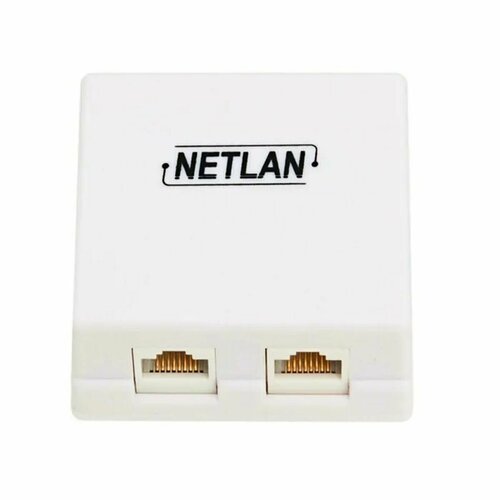 Настенная розетка NETLAN, 2 порта, Кат.5e (Класс D), 100МГц, RJ45/8P8C, 110, T568A/B, неэкран