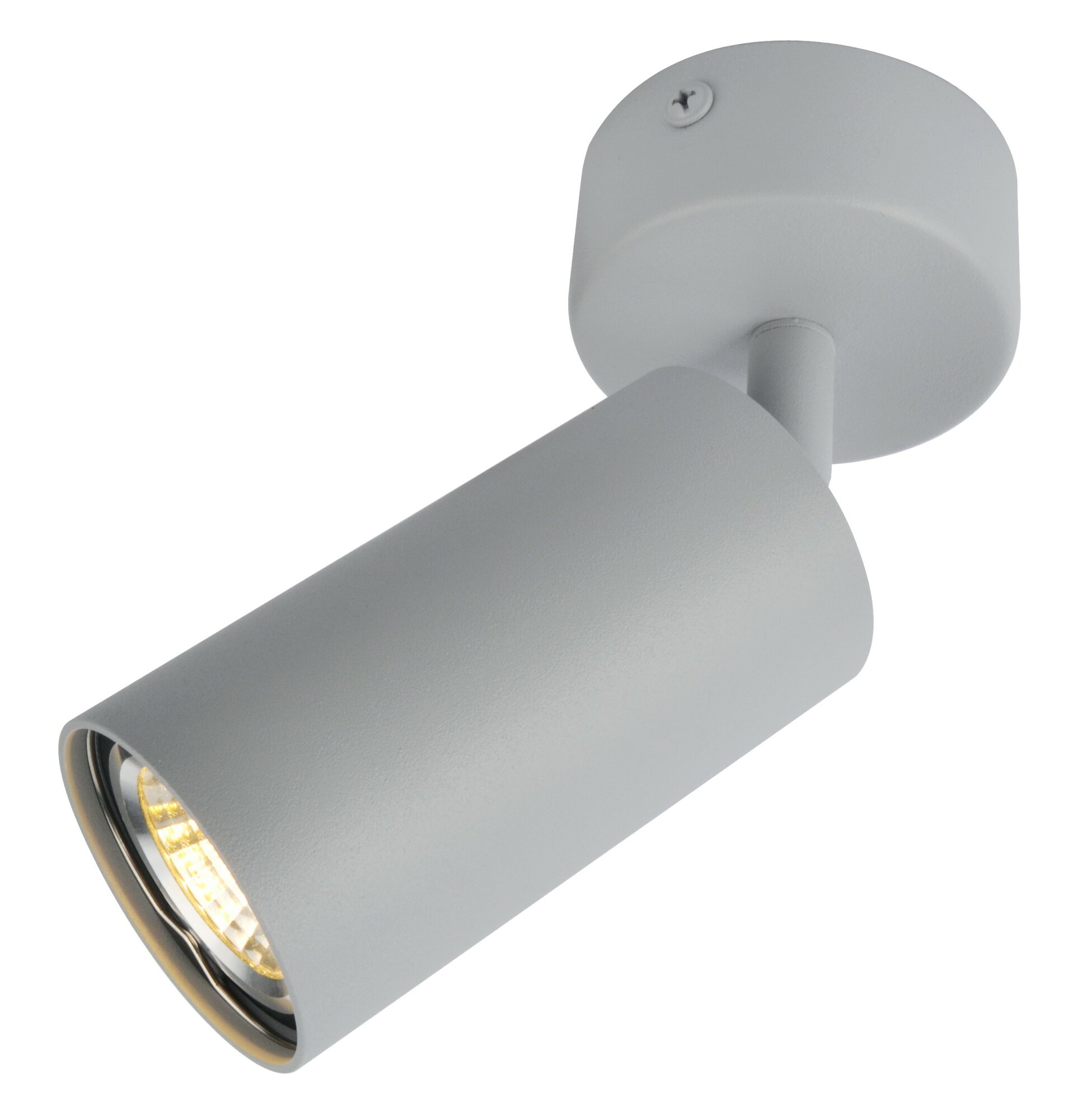 Светильник потолочный Arte Lamp A3216PL-1GY