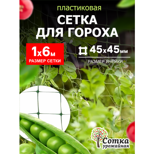 Сетка пластиковая для гороха 45х45 (1х6 м) Зеленый 'Урожайная сотка'