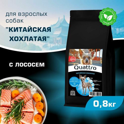 Корм сухой для взрослых собак породы Китайская хохлатая, с лососем, 800 гр, QUATTRO